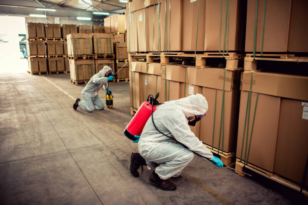 Best Rat Extermination Near Me  in Kennesaw, GA