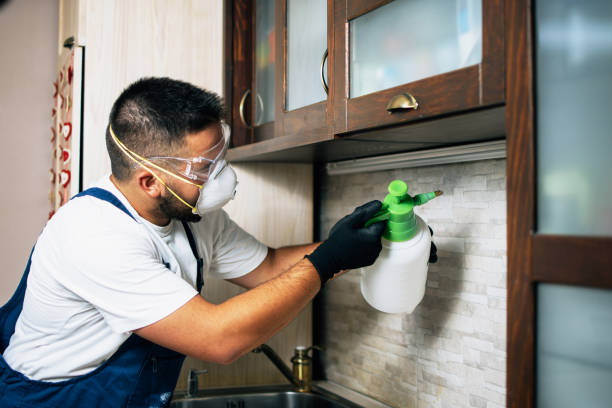 Best Affordable Pest Control Services  in Kennesaw, GA