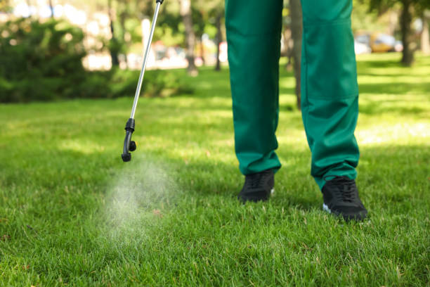 Best Affordable Pest Control Services  in Kennesaw, GA