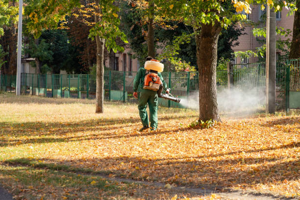 Best Bird Control  in Kennesaw, GA