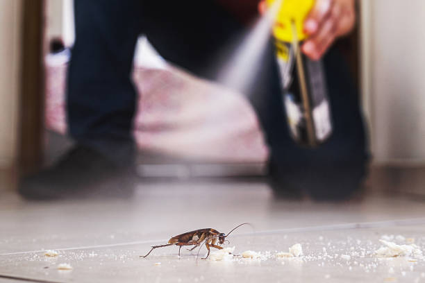 Best Pest Control for Restaurants  in Kennesaw, GA