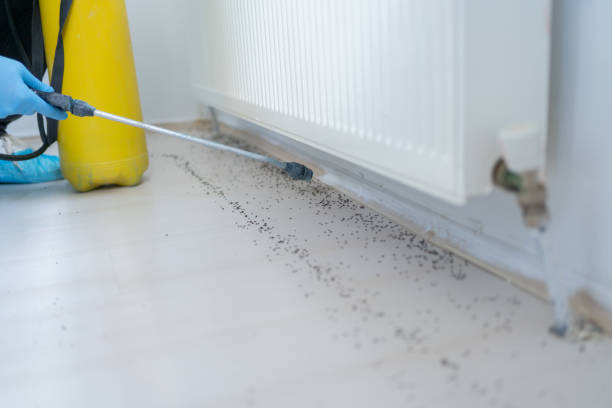Pest Control for Restaurants in Kennesaw, GA