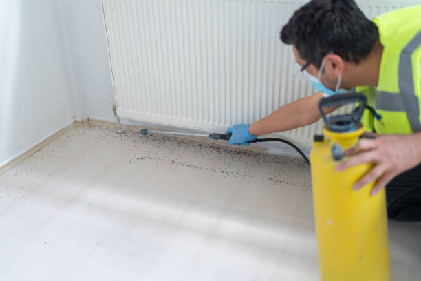 Best Pest Control Treatment  in Kennesaw, GA